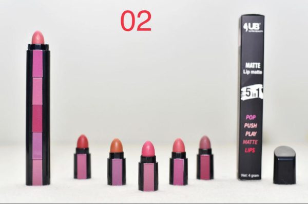 Matte Lipsticks  5 In 1